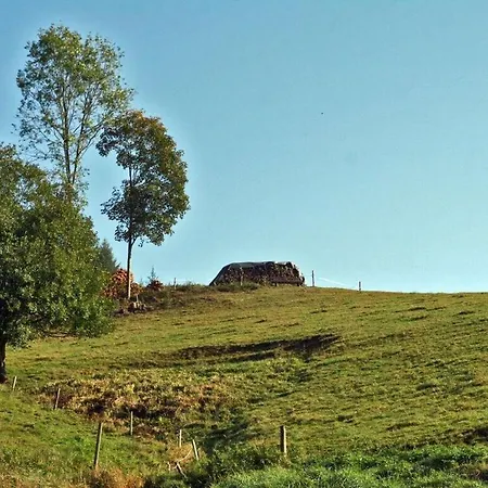 96 1 Rinkenbachhof