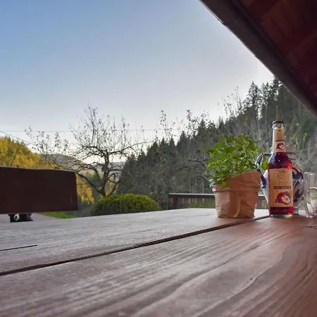 Tatil Evi 96 1 Rinkenbachhof