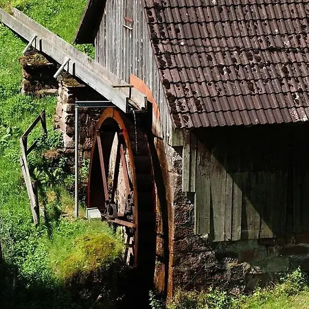Tatil Evi 96 1 Rinkenbachhof *