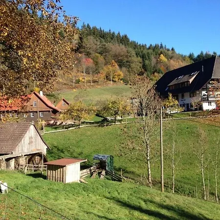 Tatil Evi 96 1 Rinkenbachhof *